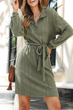 Casual Street Lace Up Zipper Potholes Turndown Collar A Line Dresses