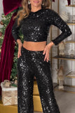 Casual Sequins Backless O Neck Long Sleeve Two Pieces