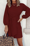 Casual Simplicity Solid O Neck Long Sleeve Dresses(5 Colors)