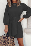 Casual Simplicity Solid O Neck Long Sleeve Dresses(5 Colors)