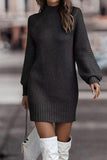 Casual Solid Patchwork Turtleneck One Step Skirt Dresses